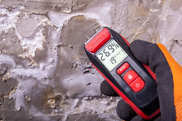 Best Certified Mold Removal  in Rochester, NH