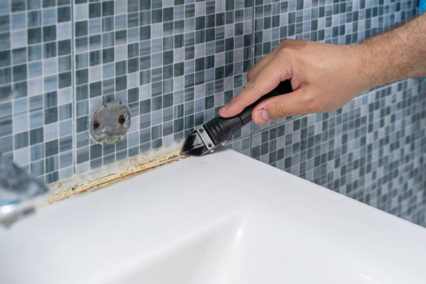 Best Mold Cleaning Services  in Rochester, NH