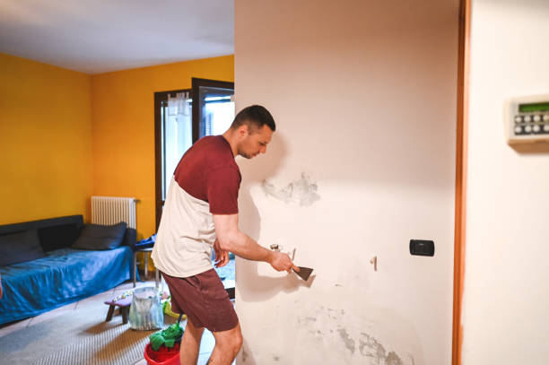  Rochester, NH Mold Removal Pros